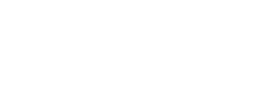 Seismo Wave
